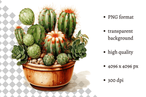 Download Potted Cactus PNG Illustration - Illustration Collection
