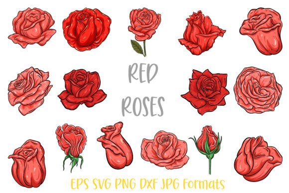 Download Red  Rose Flower Line Art Illustrations - Illustration Collection