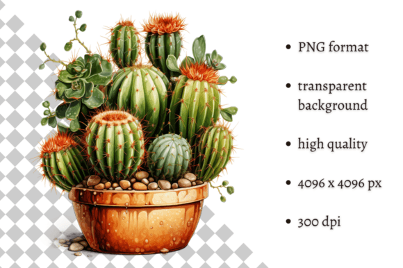 Download Potted Cactus PNG Illustration - Illustration Collection