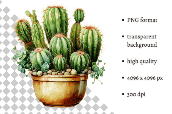 Download Potted Cactus PNG Illustration - Illustration Collection