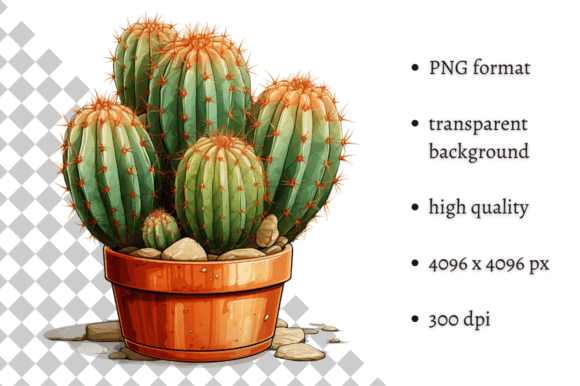 Download Potted Cactus PNG Illustration - Illustration Collection