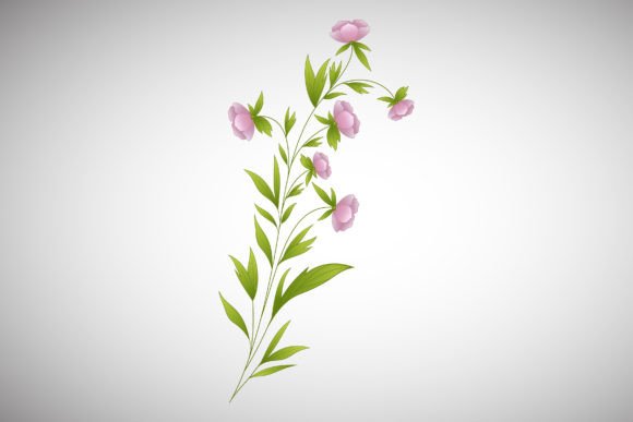 Download Flower Branch, Plant Leaves Illustration - Illustration Collection