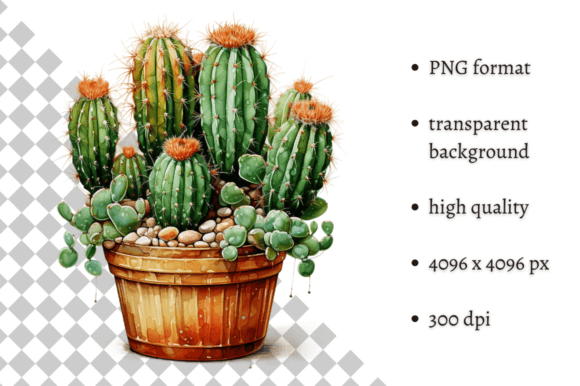 Download Potted Cactus PNG Illustration - Illustration Collection