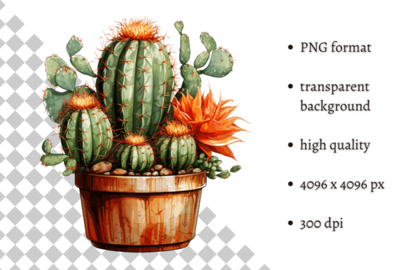 Download Potted Cactus PNG Illustration - Illustration Collection